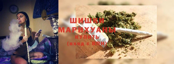 PSILOCYBIN Балахна