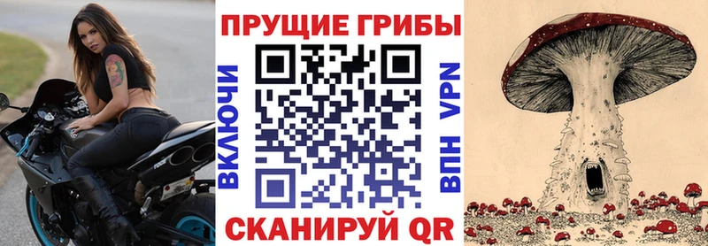 omg сайт  закладки  Сланцы  Псилоцибиновые грибы мухоморы 